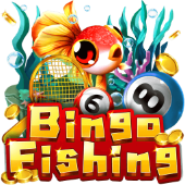 Bingo Fishing on 1xbe fishing